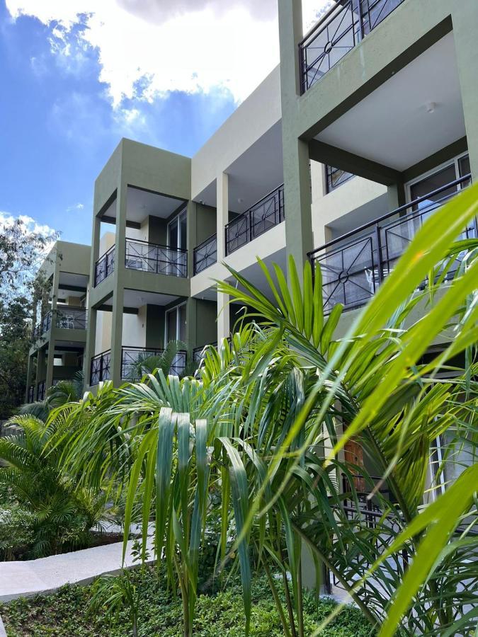 Lol-Ha Hotel Boutique Cancun Bagian luar foto